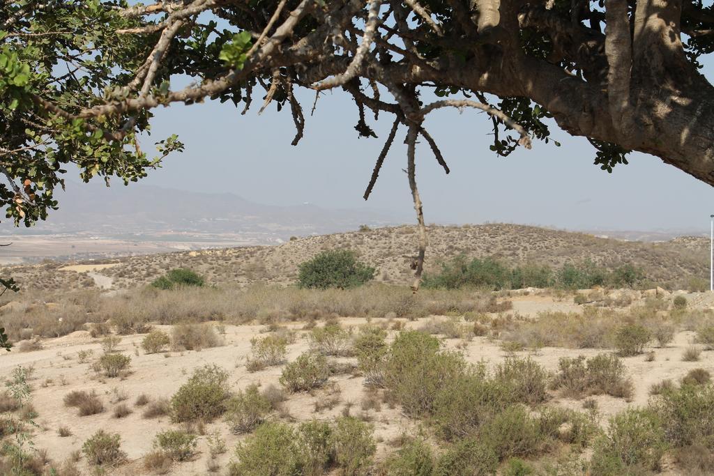 Casa Alegria Mazarronヴィラ エクステリア 写真