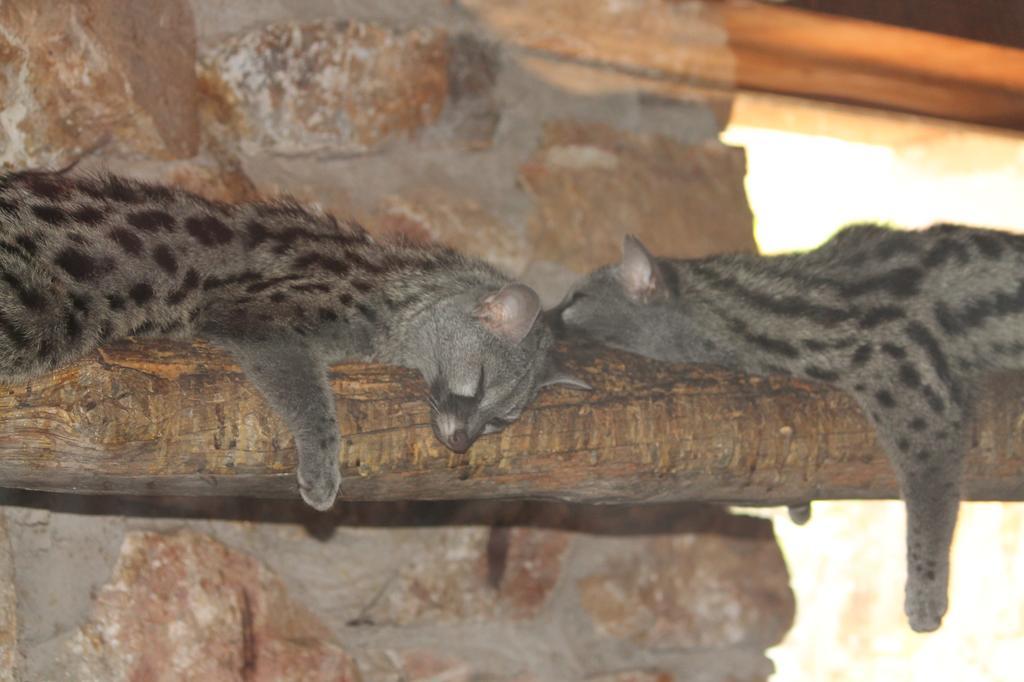 Casa Alegria Mazarronヴィラ エクステリア 写真